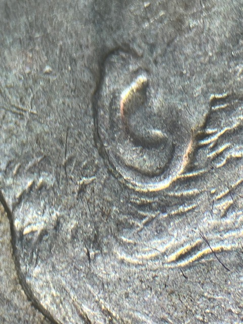 Roosevelt-Dimes-1946--The-Ear-May-Appear-Double-?